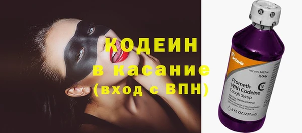 прущие грибы Волосово