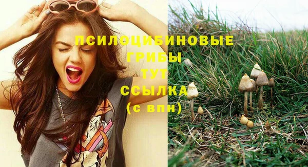 прущие грибы Волосово